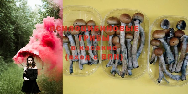 MESCALINE Козловка