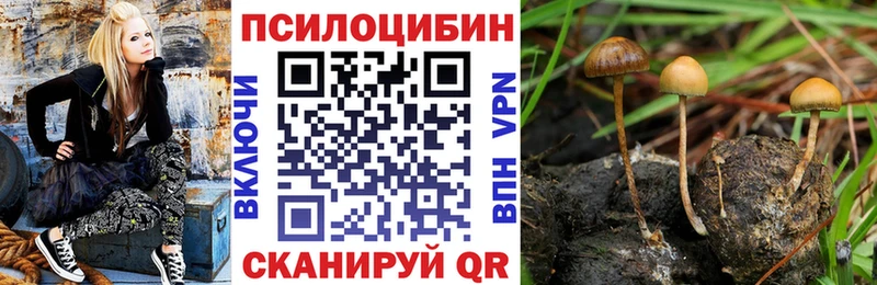 Галлюциногенные грибы ЛСД  Купить где  Мариинск 